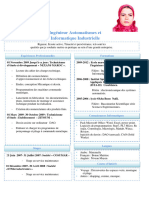 Ingénieur Automatismes Et Informatique Industrielle: Formations Expériences Professionnelles