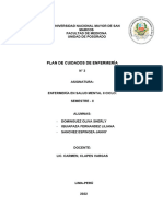 Plan de Cuidados 15-11-2022