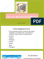 Ciclos Biogeoquímicos y Sucesiones