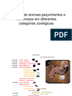 Animais Peçonhentos - Aula 2 - Conceitos em Toxinologia