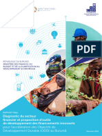 Diagnostic Du Secteur Financier Et Proposition D'outils - Burundi