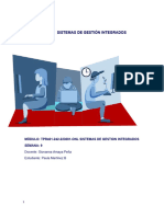 Actividad Sumativa Semana 9 Sistemas de Gestion Integrados
