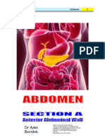 Anterior Abdominal Wall, Lecrure 1, Structure and Layers