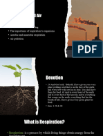 Respiration and Pollution