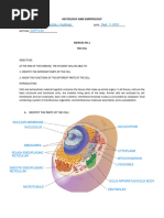 Exercise 1 Cell