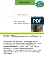 10A Bacterias