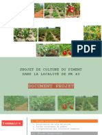 Document Projet - Culture Du Piment