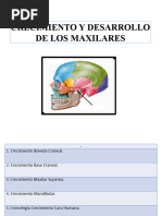 Crecimiento y Desarrollo Craneofacial.