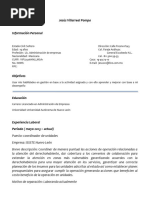 Copia de CURRICULUM VITAE Jesus Villarreal