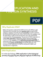 Dna Replication and Protein Synthesis