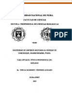 Diversidad de Anfibios Asociada Al Bosque de Canchaque, Huancabamba, Piura - Céspedes Alejabo