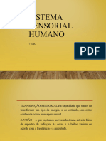 Aula 5 Sistema Sensorial Humano - Visão