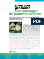 Pommes de Terres Polenisation