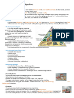 Ch.2 Food and Digestion