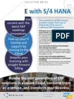 Meridan-SBrief S4Hana F2 (1802)