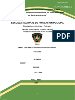 Texto Argumentativo Organización Criminal