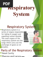 Respiratory System GRADE 6