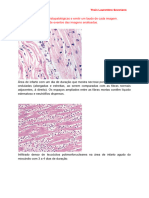 ED 1 de Histologia