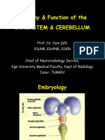 36109-Anatomy of The Brainstem and Cerebellum - Dr. Calli