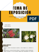 Tema de Exposición