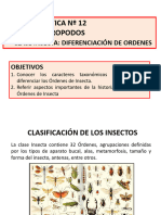 Zoo Inv - Practica Insecta 2