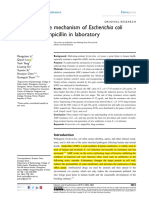 The Resistance Mechanism of Escherichia Coli Induced by Ampicillin in Laboratory