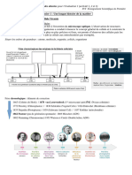 D1 Cellule 1ES C1 Elev 23-24