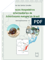 Moluscos Hospedeiros Intermediários de Schistosoma Mansoni No Brasil