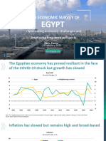 Egypt Economic Survey