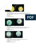 Lab Microscopio