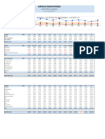 Monthly P&L Template