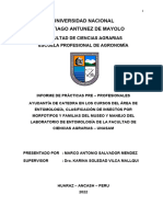 Informe Final Marco Antonio Salvador Mendez