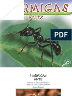 (Biblioteca Del Descubrimiento de Los Insectos Volume 6) Jason Cooper - Hormigas Ants-Rourke Pub. (2005)