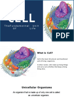 Cell Structure