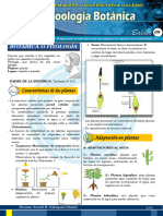 BOT NICA 2024 Compendio