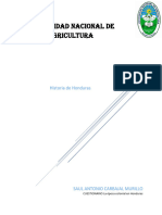 Cuestionario "La Época Colonial en Honduras" T6