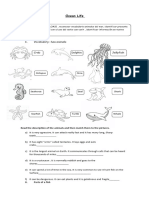 Worksheet Sea Animals