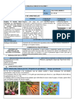 Sesion Ciencia y Tecnologia LAS PLANTAS Foraneas 12 .07 - 24 2