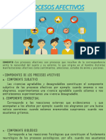 Procesos Afectivos PDF Ok