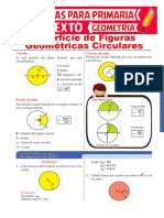 Área de Los Circulos para Sexto de Primaria