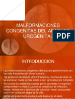 Malformaciones Congenitas