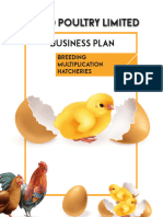 FINAL DRAFT MUDO BUSINESS PLAN - Compressed