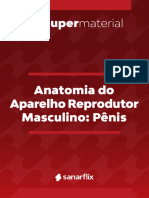 Reprodutor Masculino (Pênis)