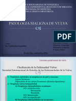 Patologiamalignadevulvasdefinitivas 150108145121 Conversion Gate01