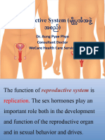 Reproductive System PP