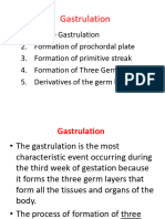 Gastrulation 1