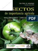 PDF de Insectos