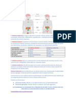 Anatomía T10