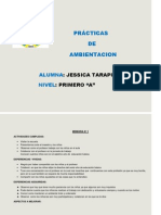 Practicas de Ambientacion