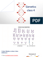 Genetics Class 4